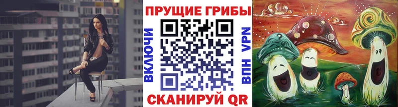 Купить  Гремячинск  Псилоцибиновые грибы Magic Shrooms 